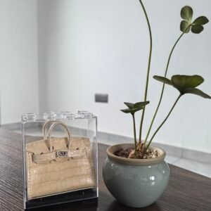 Apricot luggage hangers, window display items, desk decorations